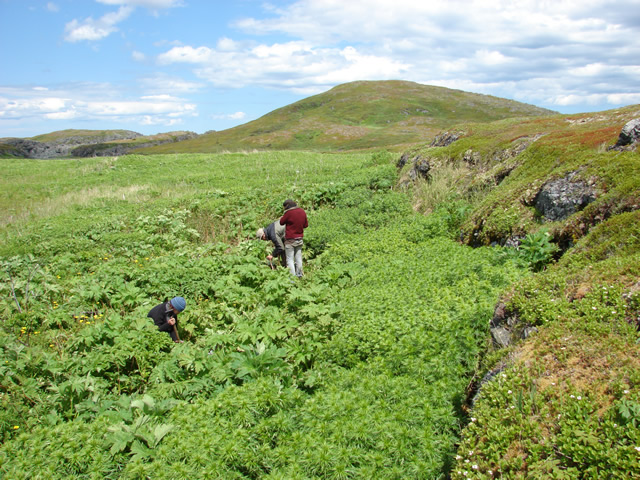 Survey crew in the rectangular vegetation shadow of a 19th-century structure.